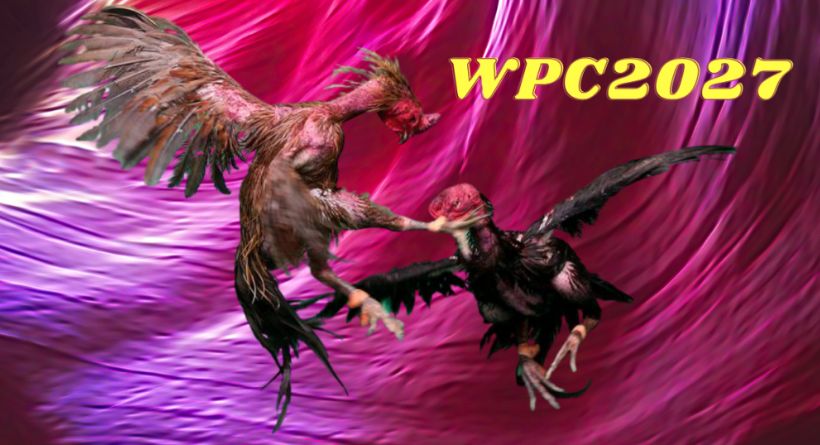 WPC 2027 What You Need to Know In 2021