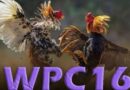 Wpc16 How Do I Sign Up For Wpc16 New Updates! 2022!-featured