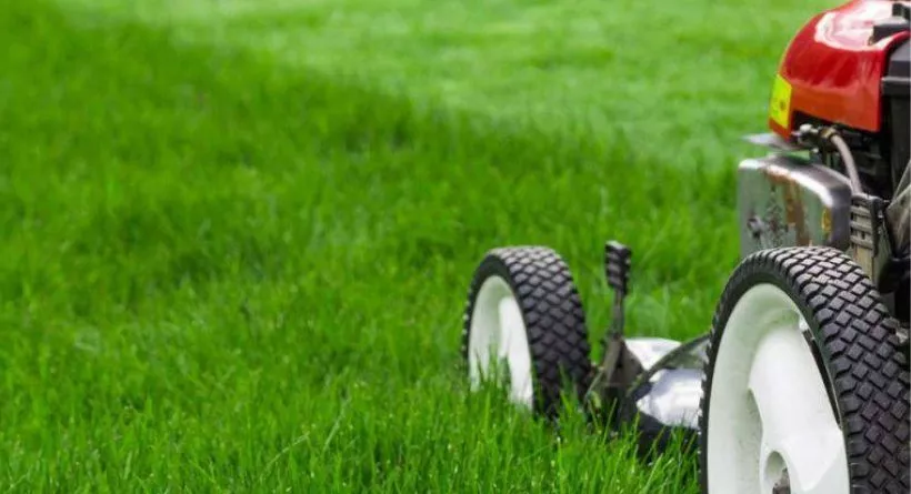 Planning your Lawn Care Business